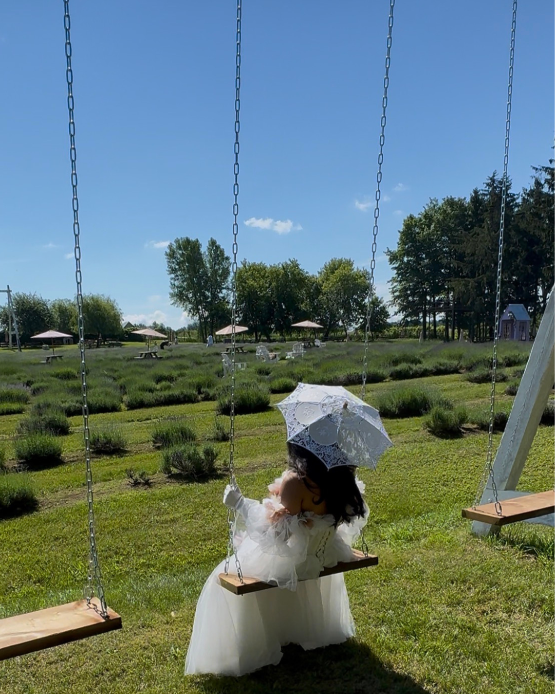Salon de thé créatif- Édition Champ de Lavande