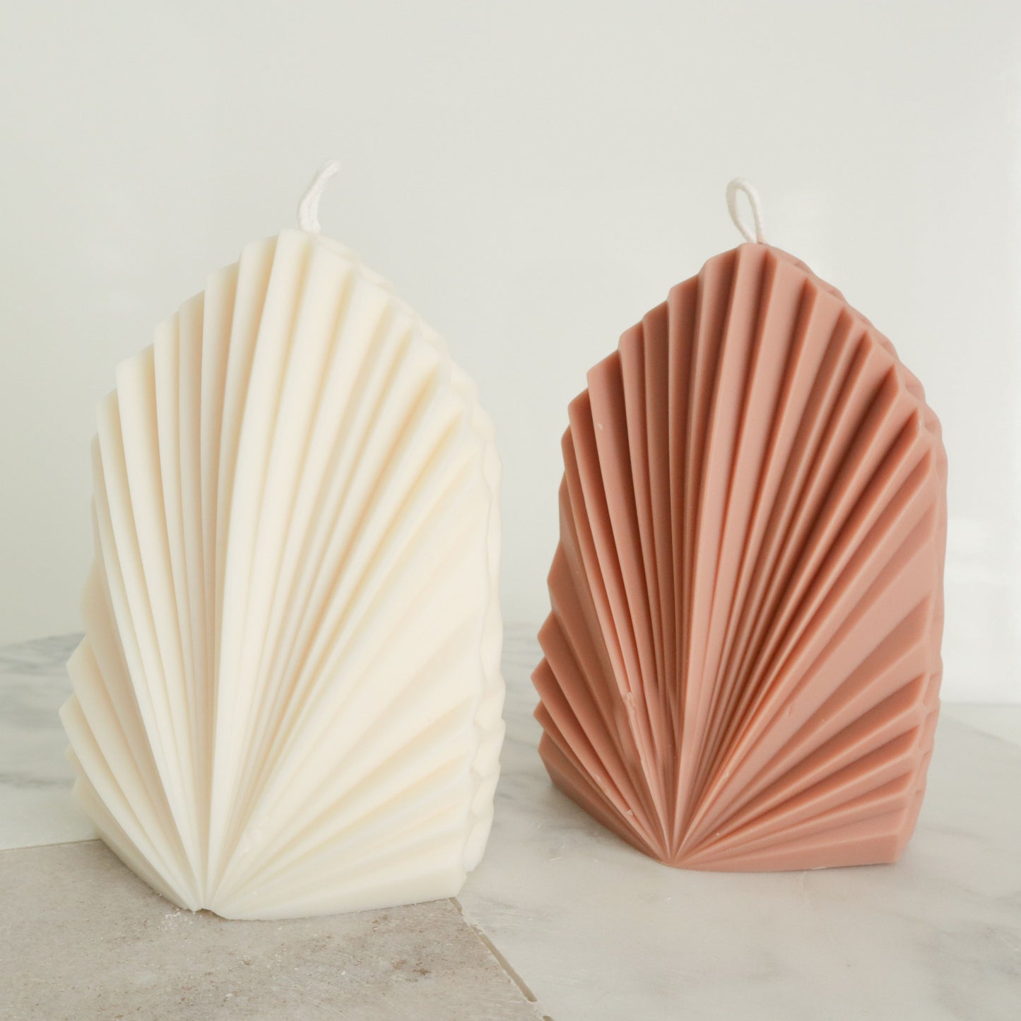 Ravinala (Arbre du voyageur/ Traveler’s tree)