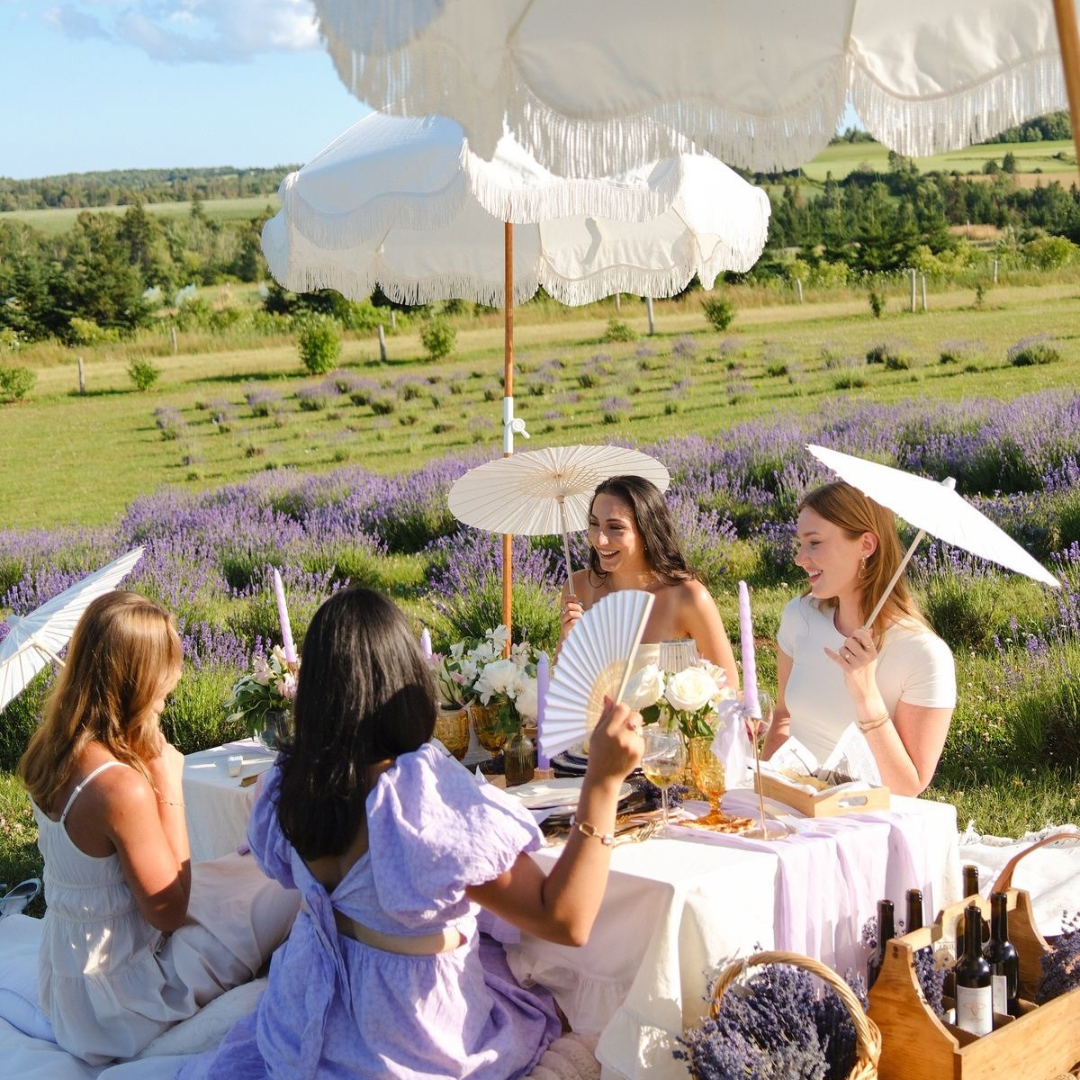 Salon de thé créatif- Édition Champ de Lavande